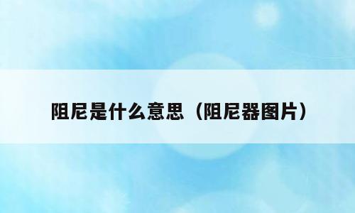 阻尼是什么意思（阻尼器图片）