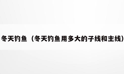 冬天钓鱼（冬天钓鱼用多大的子线和主线）
