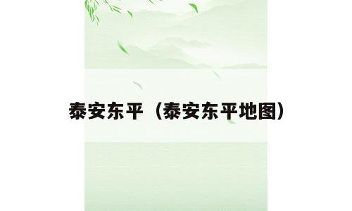 泰安东平（泰安东平地图）
