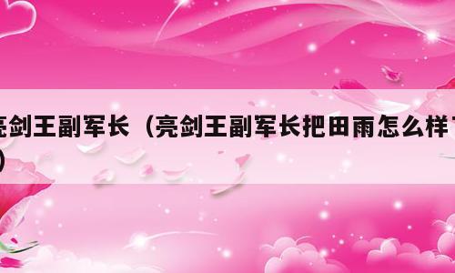 亮剑王副军长（亮剑王副军长把田雨怎么样了?）