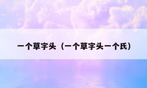一个草字头（一个草字头一个氏）