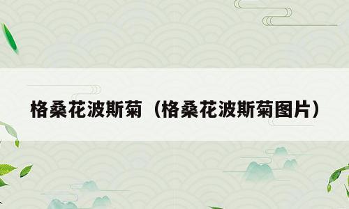 格桑花波斯菊（格桑花波斯菊图片）
