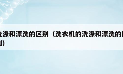 洗涤和漂洗的区别（洗衣机的洗涤和漂洗的区别）