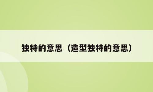 独特的意思（造型独特的意思）
