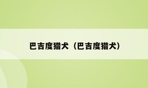 巴吉度猎犬（巴吉度猎犬）