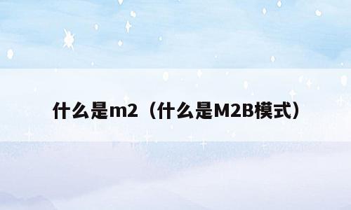 什么是m2（什么是M2B模式）