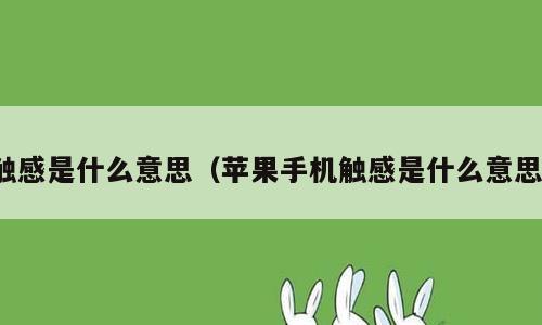 触感是什么意思（苹果手机触感是什么意思）