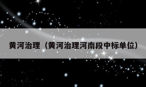 黄河治理（黄河治理河南段中标单位）
