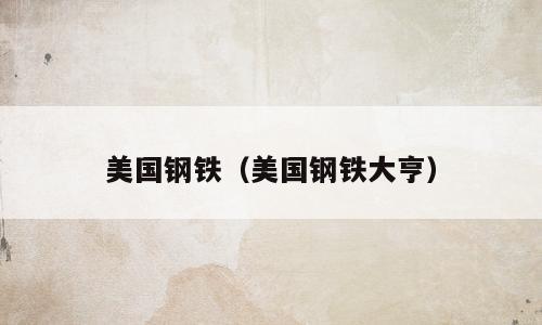 美国钢铁（美国钢铁大亨）