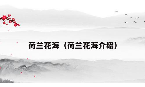 荷兰花海（荷兰花海介绍）