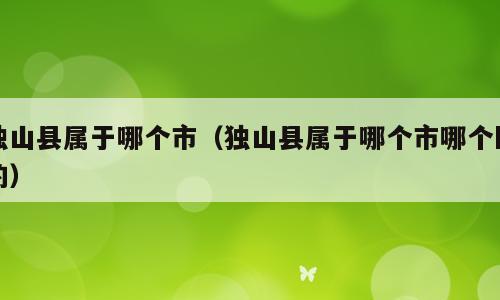 独山县属于哪个市（独山县属于哪个市哪个区的）