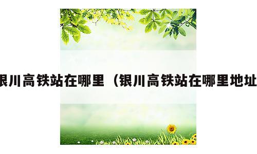 银川高铁站在哪里（银川高铁站在哪里地址）