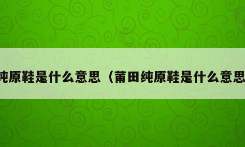 纯原鞋是什么意思（莆田纯原鞋是什么意思）