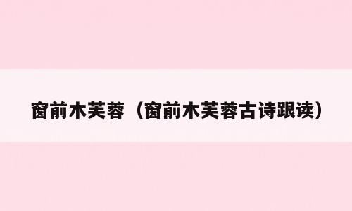 窗前木芙蓉（窗前木芙蓉古诗跟读）