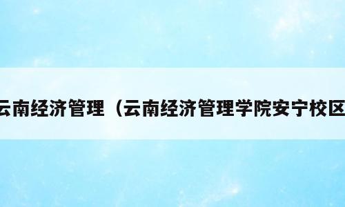 云南经济管理（云南经济管理学院安宁校区）