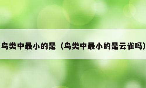 鸟类中最小的是（鸟类中最小的是云雀吗）
