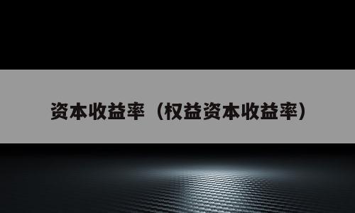 资本收益率（权益资本收益率）