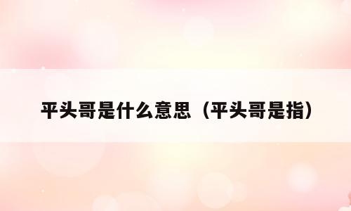 平头哥是什么意思（平头哥是指）