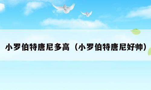 小罗伯特唐尼多高（小罗伯特唐尼好帅）