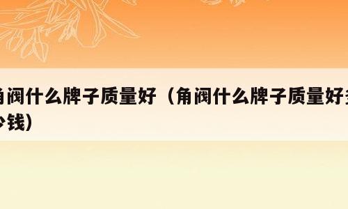 角阀什么牌子质量好（角阀什么牌子质量好多少钱）