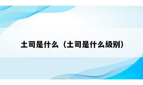 土司是什么（土司是什么级别）