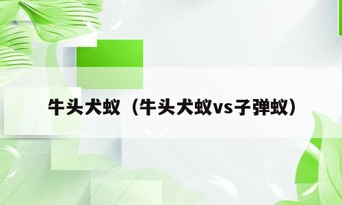 牛头犬蚁（牛头犬蚁vs子弹蚁）