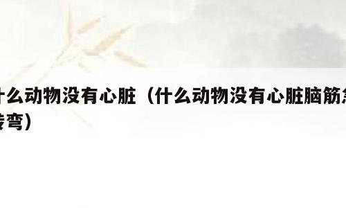 什么动物没有心脏（什么动物没有心脏脑筋急转弯）