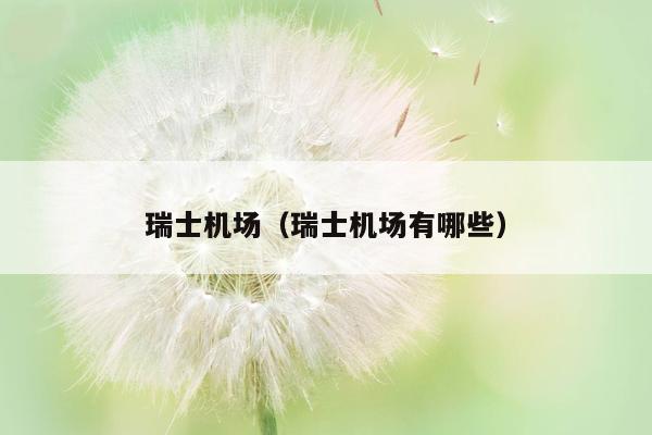 瑞士机场（瑞士机场有哪些）