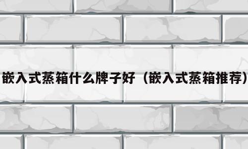 嵌入式蒸箱什么牌子好（嵌入式蒸箱推荐）