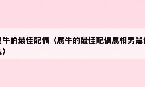 属牛的最佳配偶（属牛的最佳配偶属相男是什么）