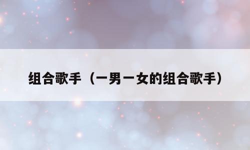 组合歌手（一男一女的组合歌手）