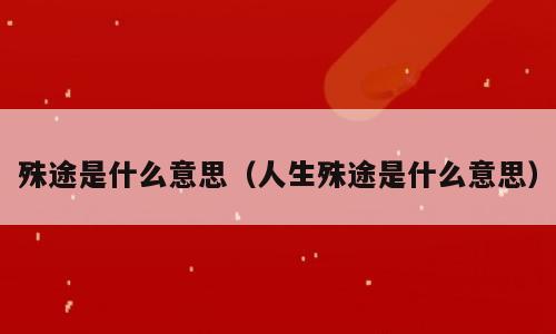 殊途是什么意思（人生殊途是什么意思）