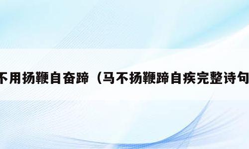 不用扬鞭自奋蹄（马不扬鞭蹄自疾完整诗句）
