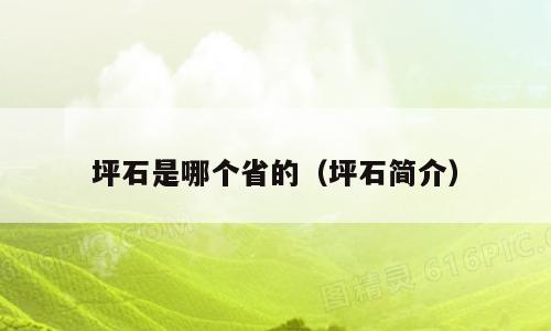 坪石是哪个省的（坪石简介）