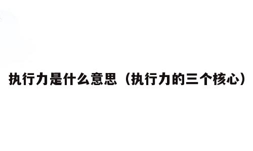 执行力是什么意思（执行力的三个核心）