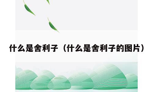 什么是舍利子（什么是舍利子的图片）
