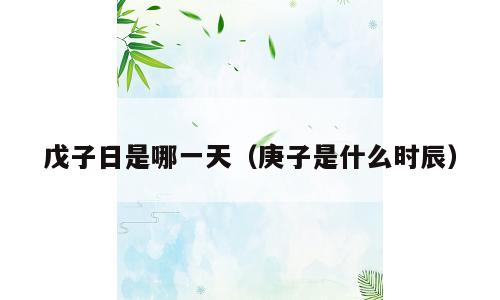 戊子日是哪一天（庚子是什么时辰）