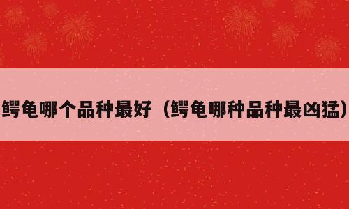 鳄龟哪个品种最好（鳄龟哪种品种最凶猛）