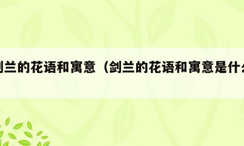 剑兰的花语和寓意（剑兰的花语和寓意是什么）
