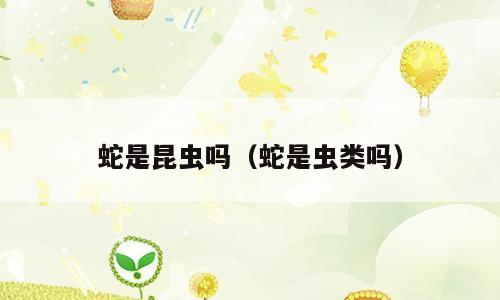 蛇是昆虫吗（蛇是虫类吗）