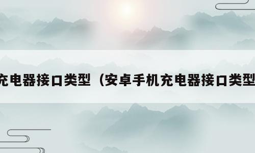 充电器接口类型（安卓手机充电器接口类型）
