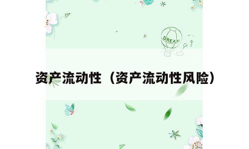 资产流动性（资产流动性风险）