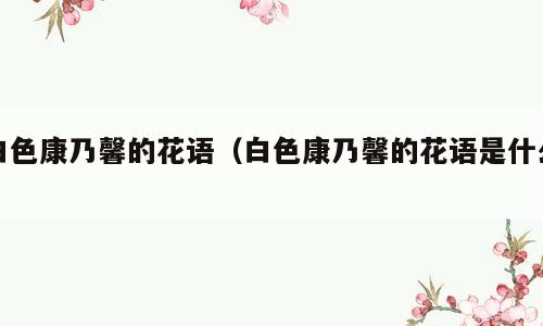 白色康乃馨的花语（白色康乃馨的花语是什么）