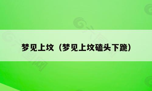 梦见上坟（梦见上坟磕头下跪）