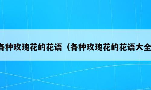各种玫瑰花的花语（各种玫瑰花的花语大全）