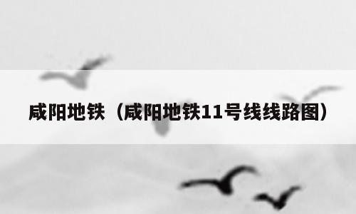 咸阳地铁（咸阳地铁11号线线路图）