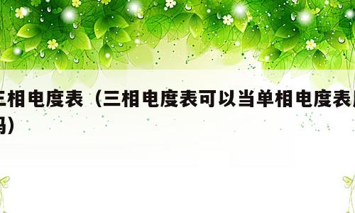 三相电度表（三相电度表可以当单相电度表用吗）