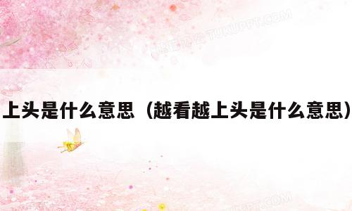 上头是什么意思（越看越上头是什么意思）