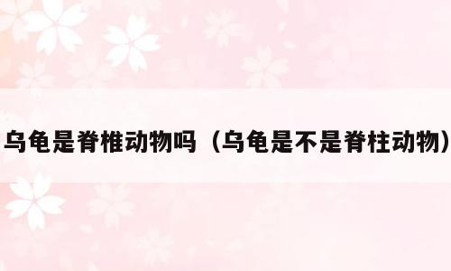 乌龟是脊椎动物吗（乌龟是不是脊柱动物）