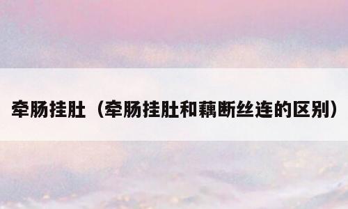 牵肠挂肚（牵肠挂肚和藕断丝连的区别）